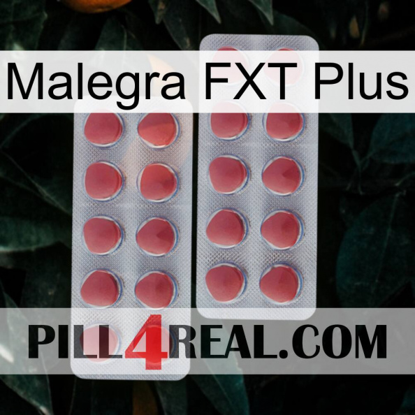 Malegra FXT Plus 19.jpg